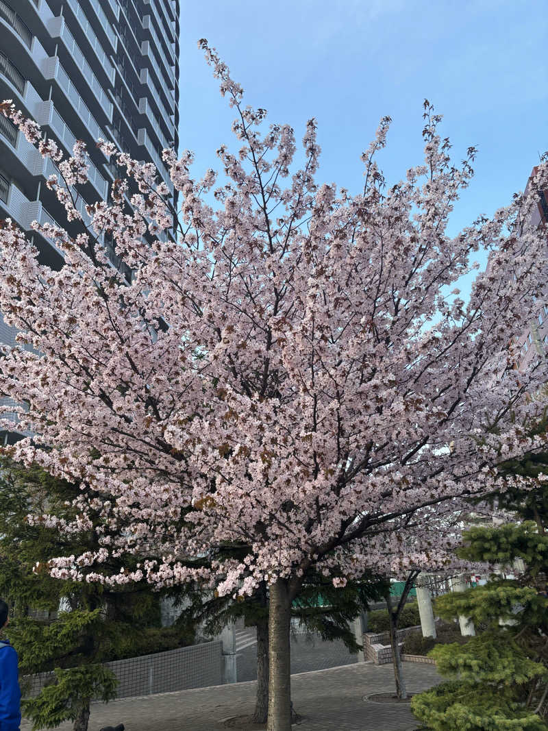 ⚡️おのとく⚡️🇯🇵さんのニコーリフレ SAPPOROのサ活写真