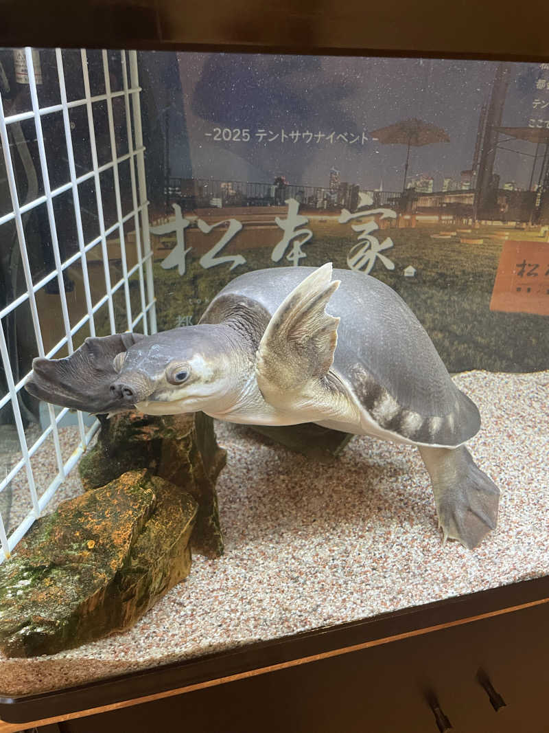 ばりあんさんの松本湯のサ活写真