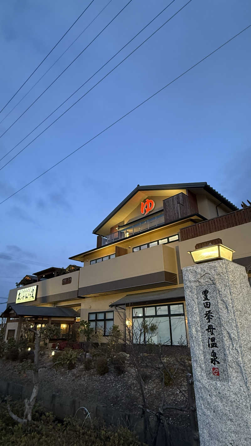 aichi03saunarさんの豊田挙母温泉 おいでんの湯のサ活写真