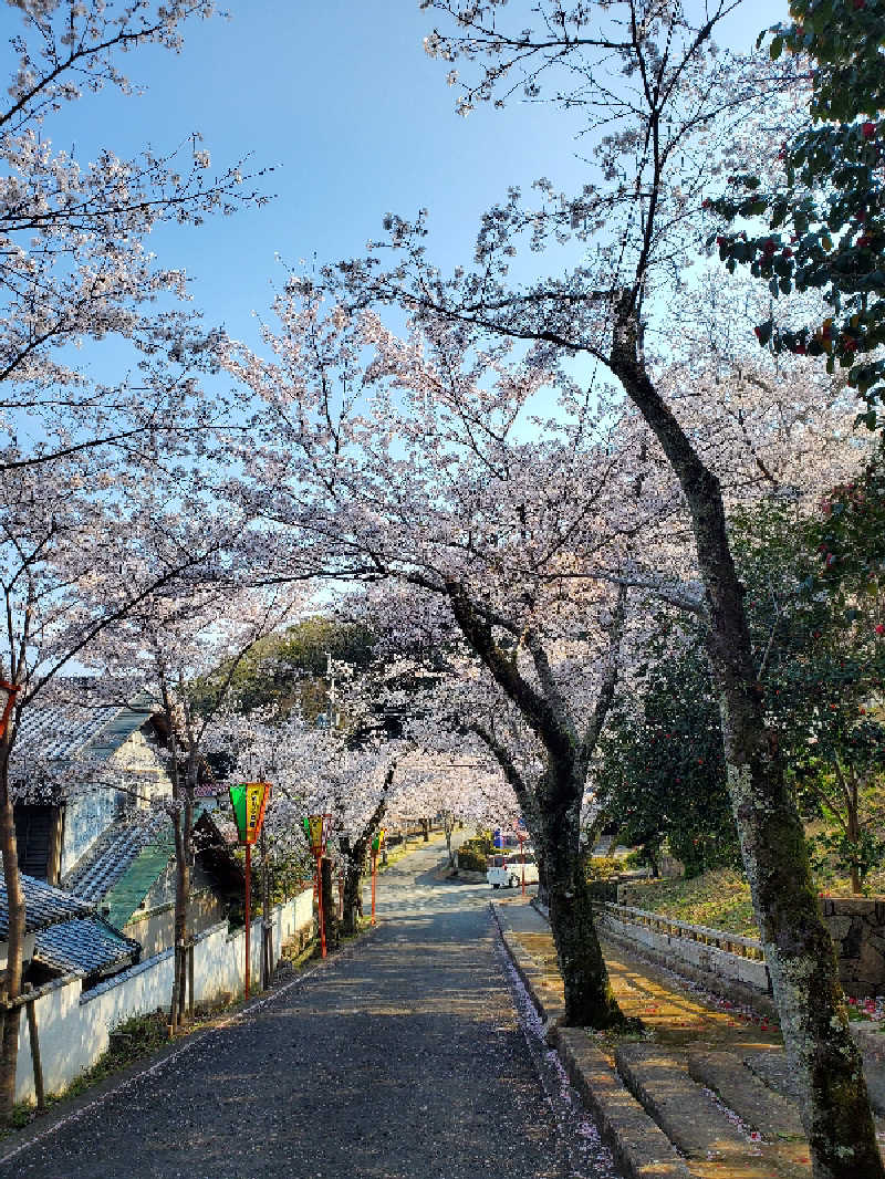 akiさんのはつらつの湯のサ活写真