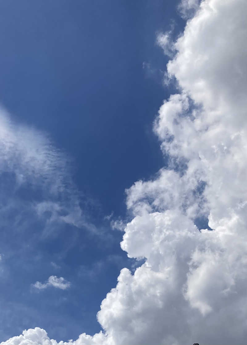 すてきんぐ🧖⛺️🍺さんの十條湯のサ活写真