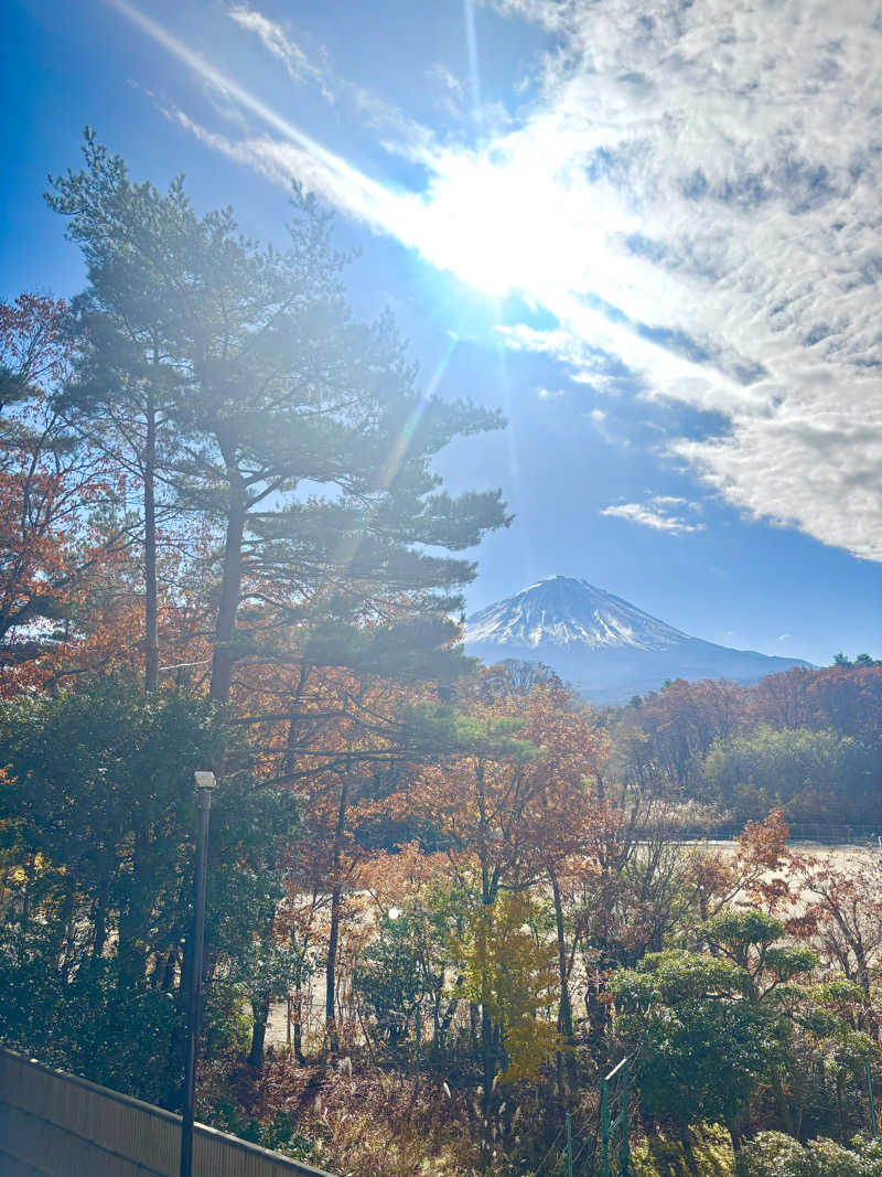 とむさんの富士眺望の湯 ゆらりのサ活写真