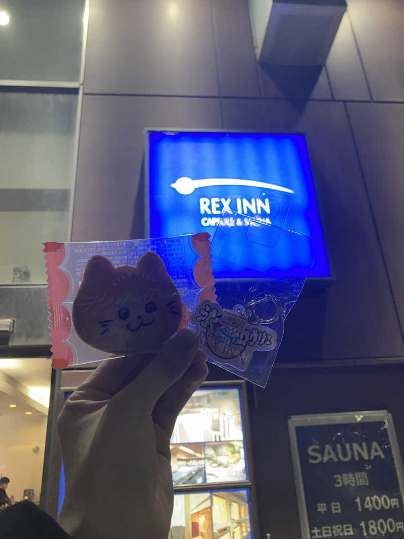 まえけんさんのレックスイン川崎のサ活写真