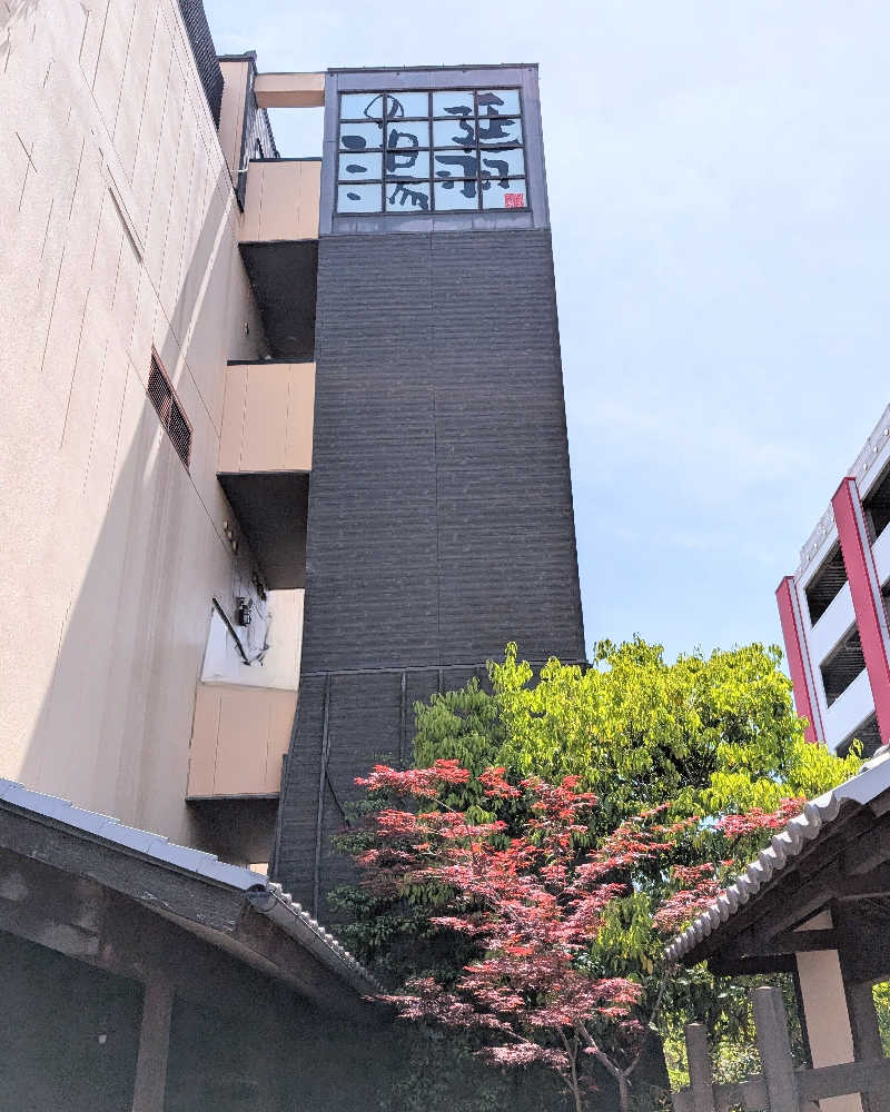 ぴどりんさんの天然温泉 延羽の湯 鶴橋店のサ活写真