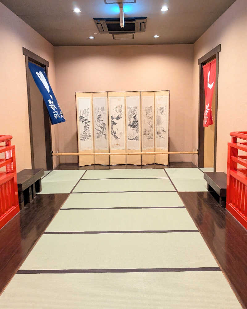 ぴどりんさんの天然温泉 延羽の湯 鶴橋店のサ活写真