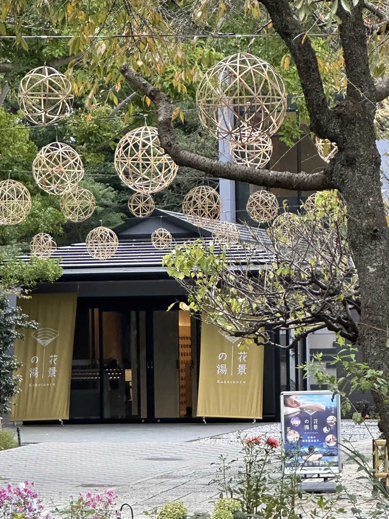 めむもさんのよみうりランド眺望温泉 花景の湯のサ活写真