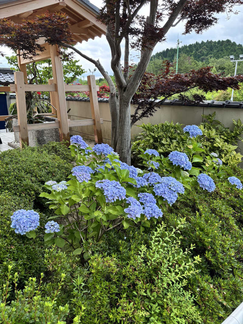 よしきさんのSAUNA RESORT 天光の湯のサ活写真