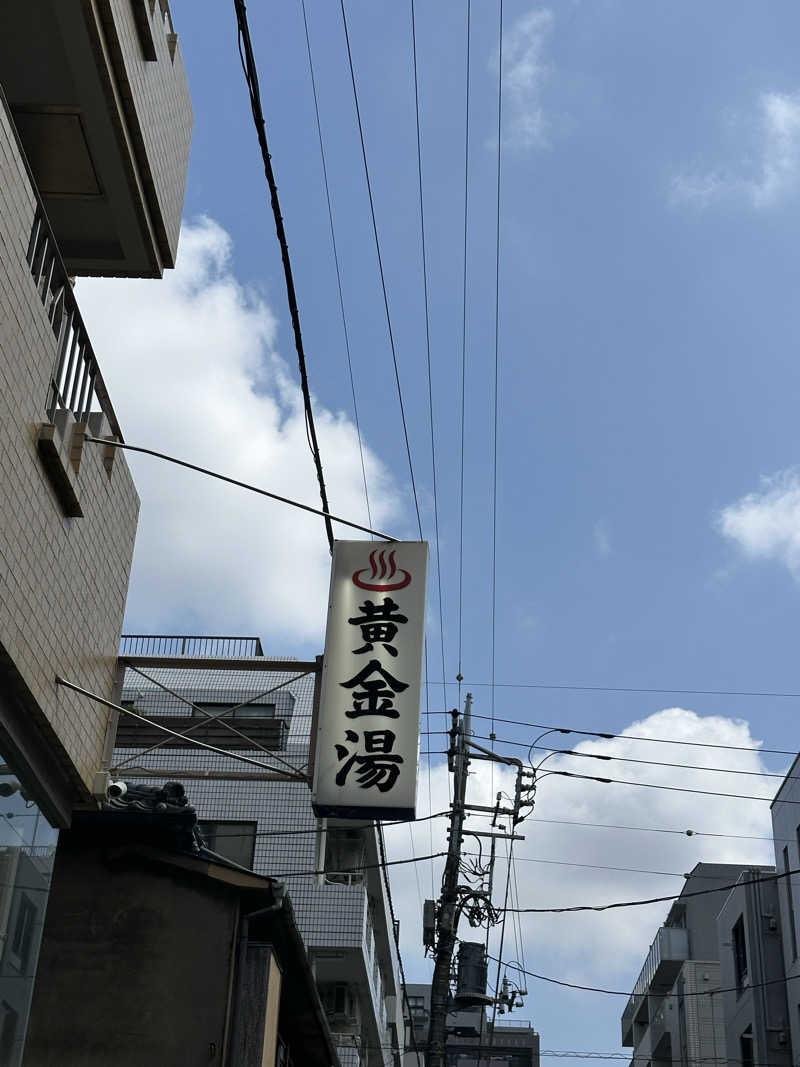 サウナのビリリダマさんの黄金湯のサ活写真