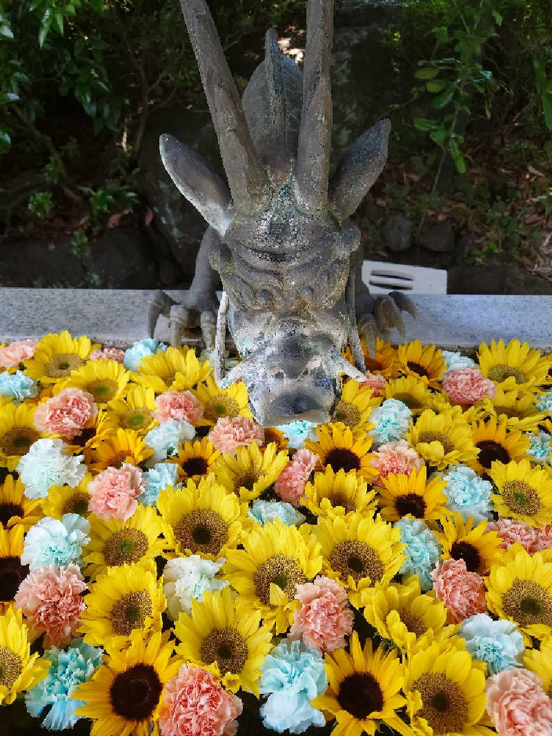 ヌイヌイさんのよみうりランド眺望温泉 花景の湯のサ活写真