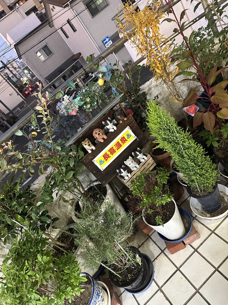 shoさんの長喜温泉のサ活写真