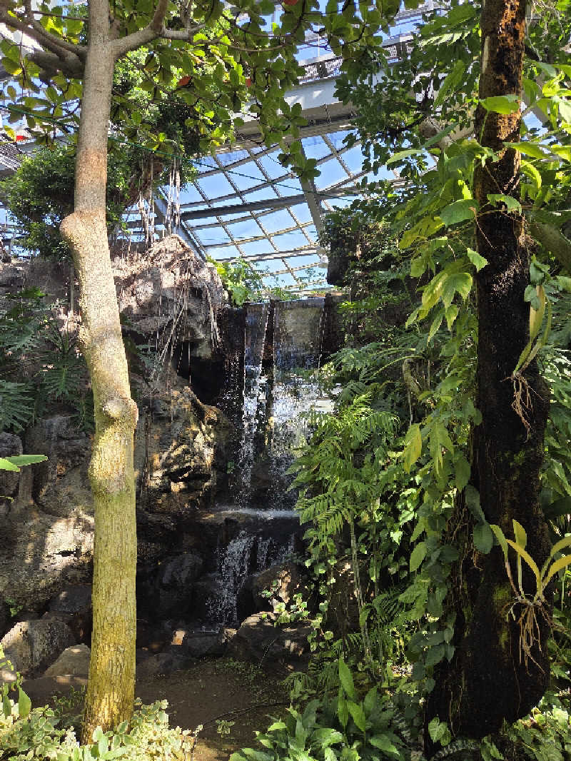 さいとぅんとぅさんのおふろcafé りんねの湯のサ活写真