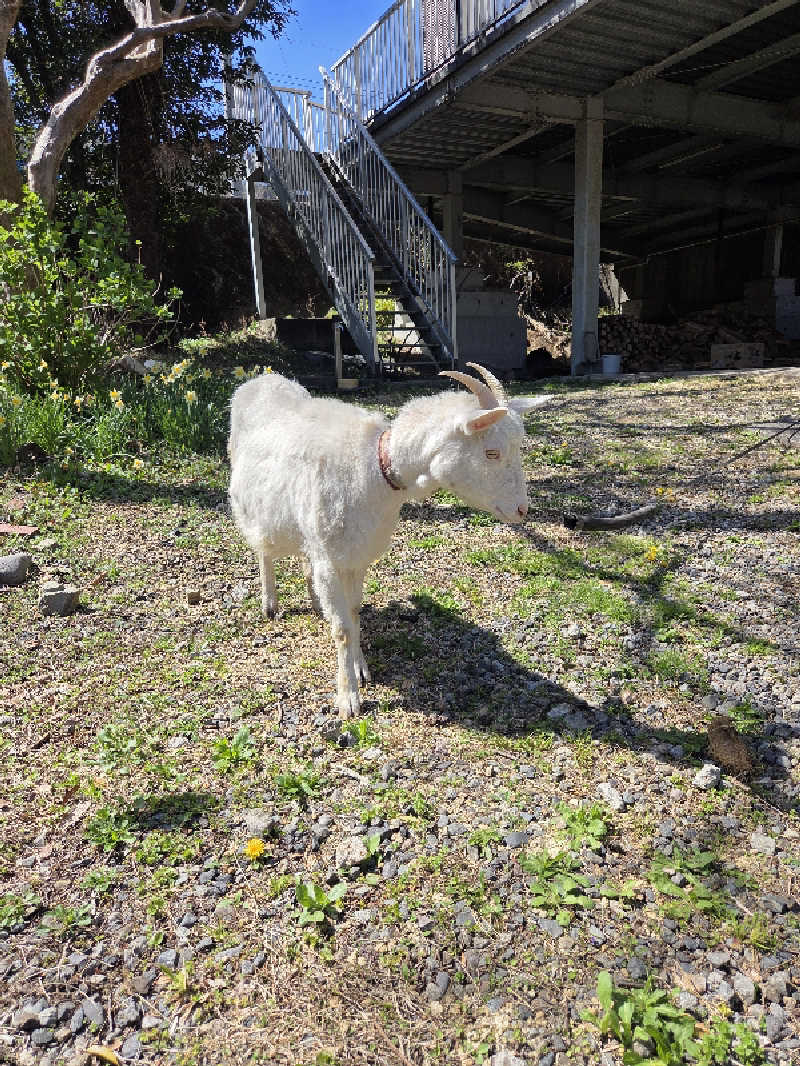 さいとぅんとぅさんのさぷらすのサ活写真