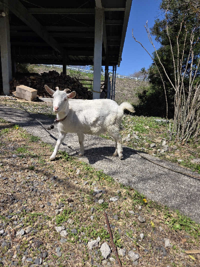 さいとぅんとぅさんのさぷらすのサ活写真