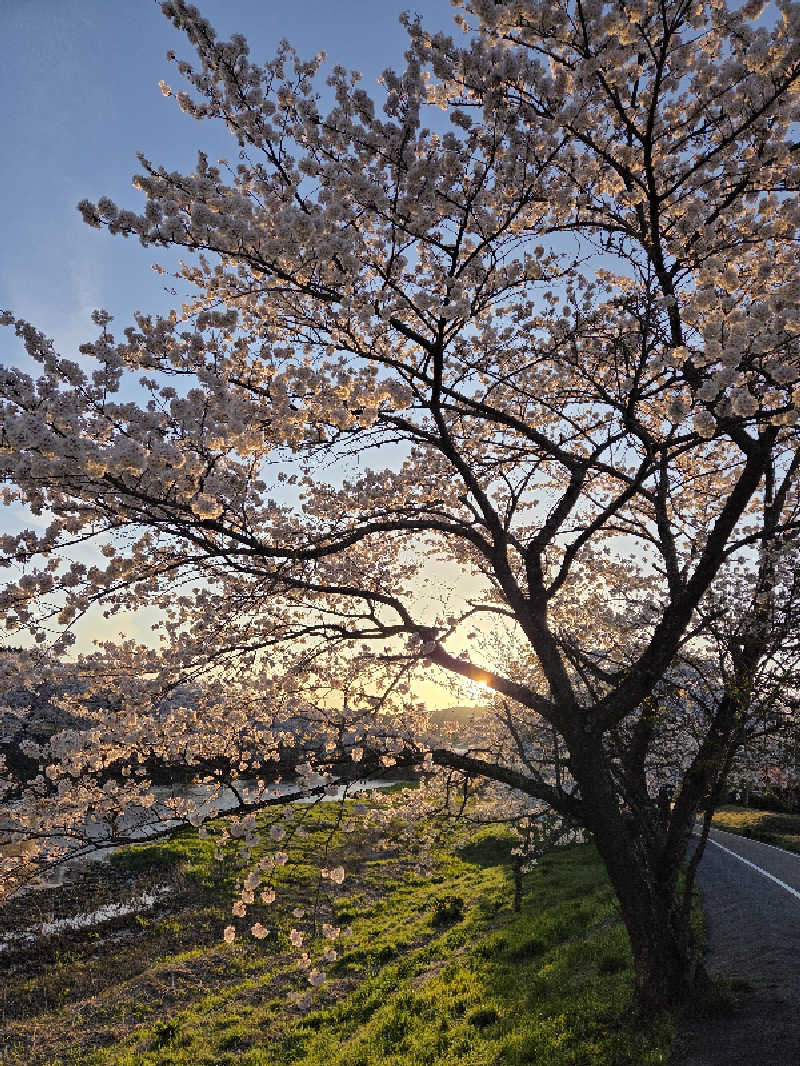 さいとぅんとぅさんの四季の宿 天瑞のサ活写真