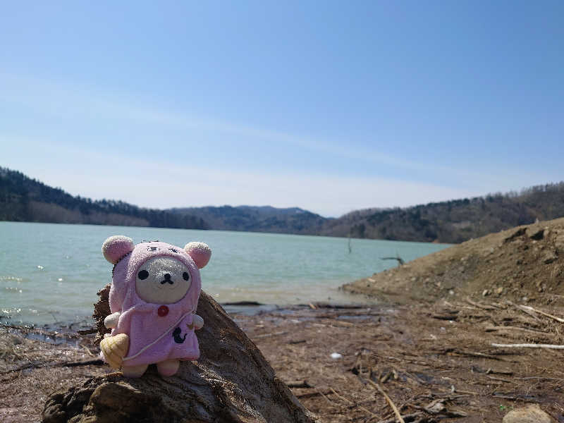 なめこさんの湯の元温泉旅館のサ活写真