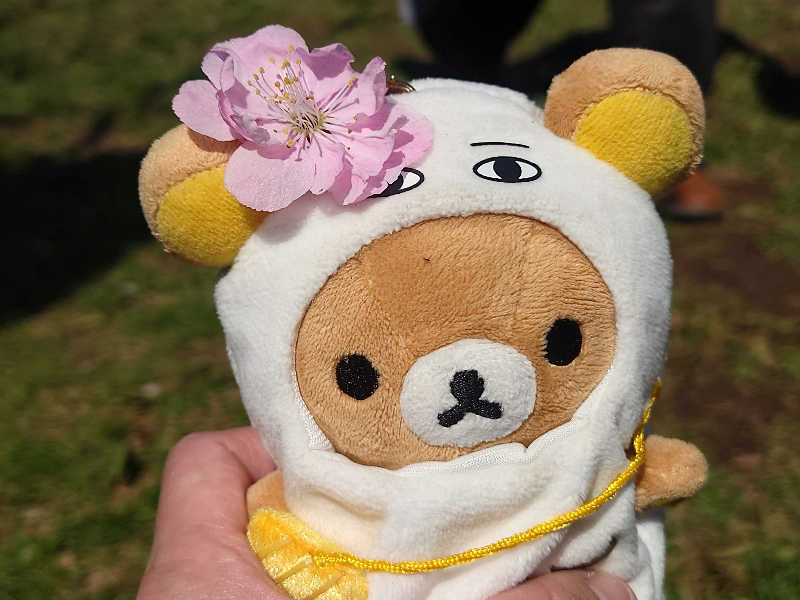 なめこさんの湯処ほのかのサ活写真