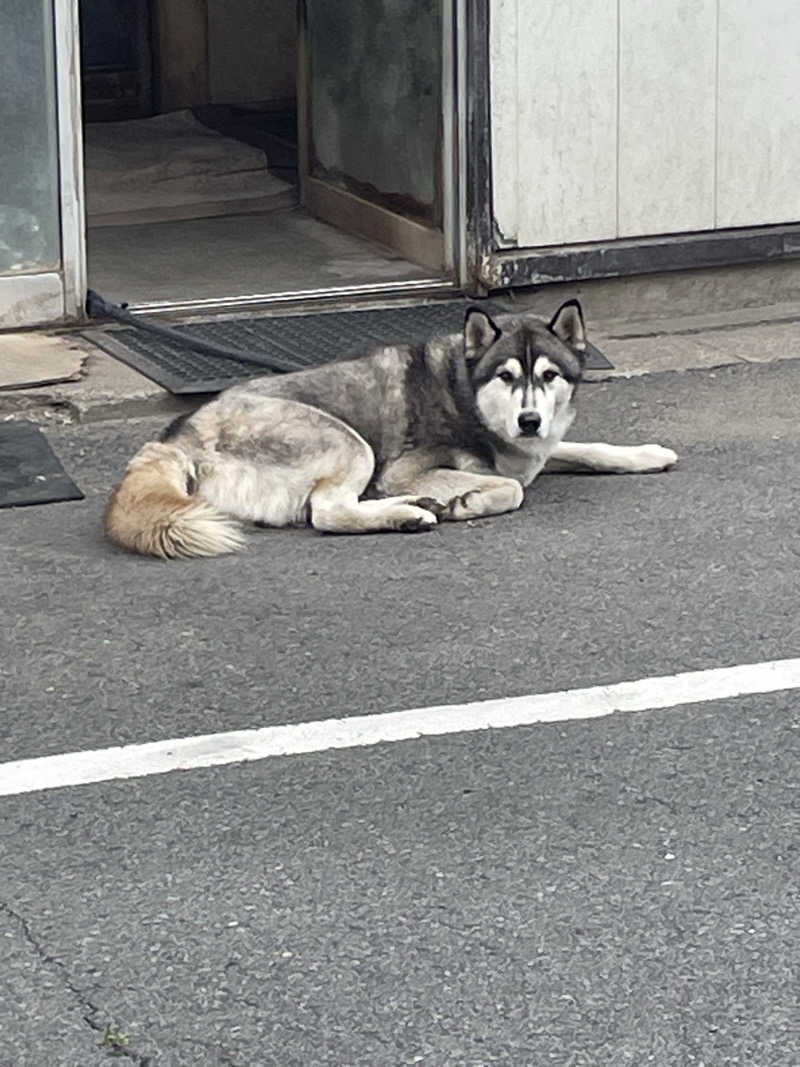 HIROさんの松の湯のサ活写真