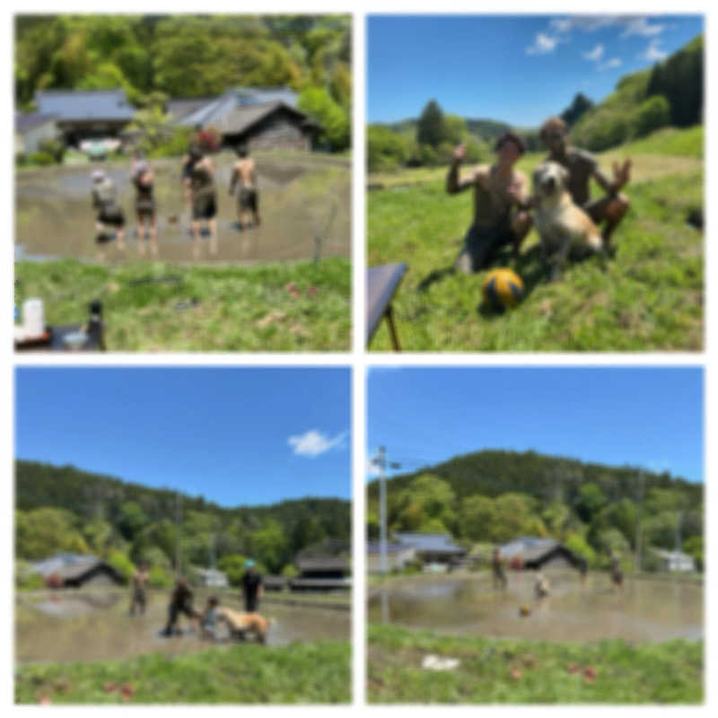 りさんのコアミガメのサ活写真