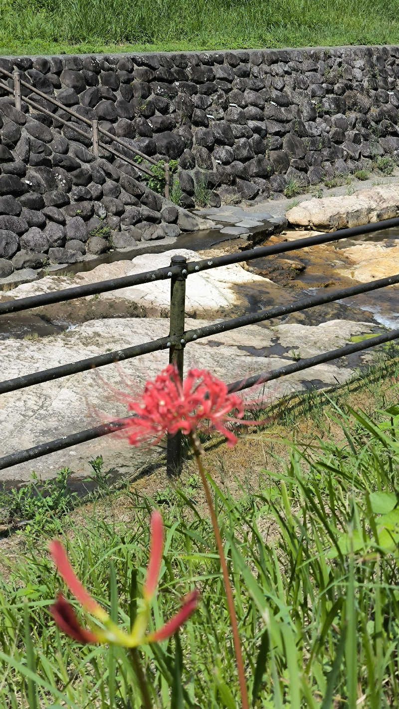 萬事屋(よろずや)さんの畑冷泉館のサ活写真