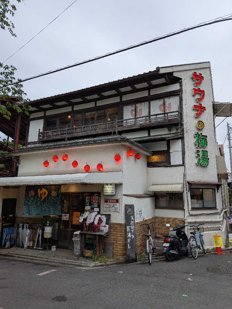 ありんこさんのサウナの梅湯のサ活写真