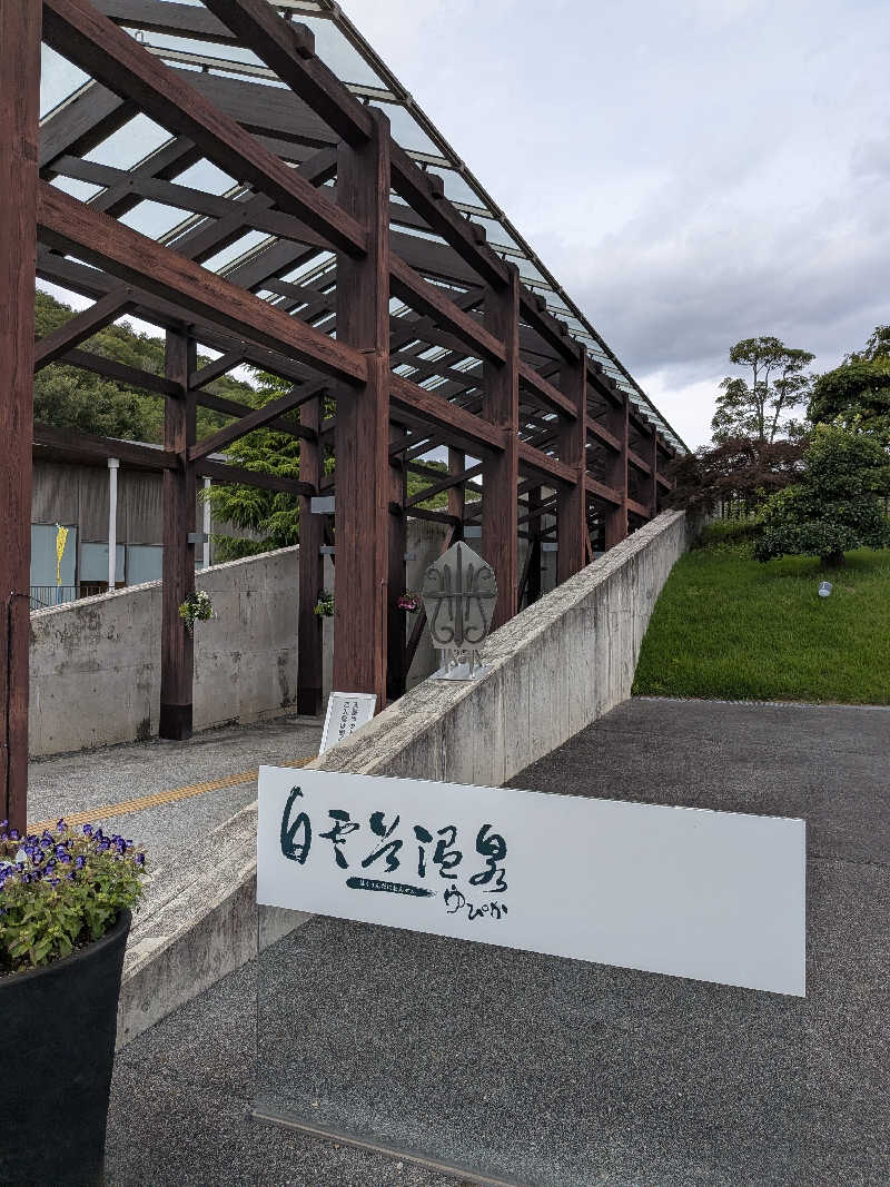 ありんこさんの白雲谷温泉ゆぴかのサ活写真