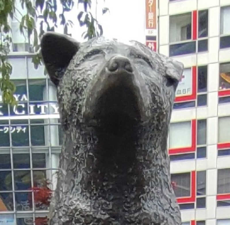 ancestorさんの渋谷SAUNASのサ活写真