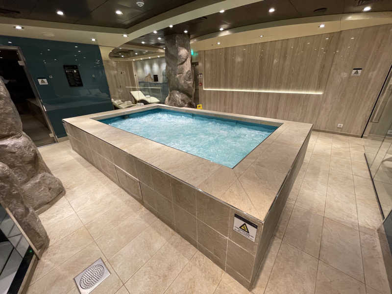 大あたりさんのMSCベリッシマ(クルーズ船)のサ活写真