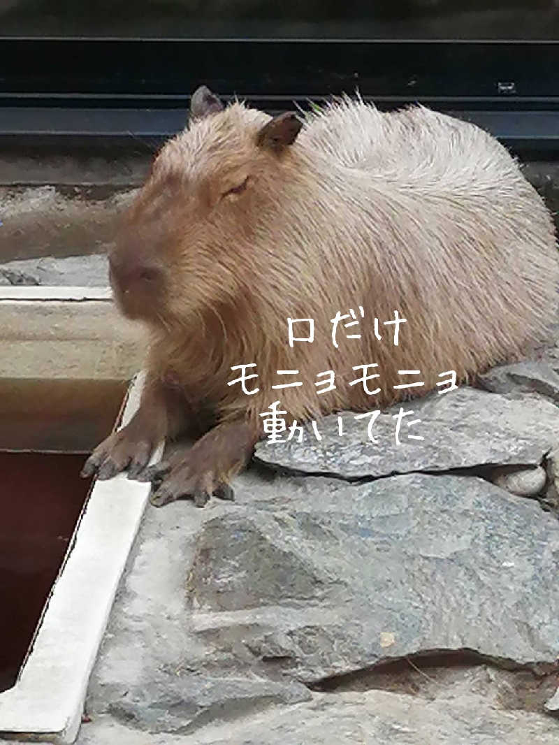 未希（デート師匠）さんの石狩天然温泉 番屋の湯のサ活写真