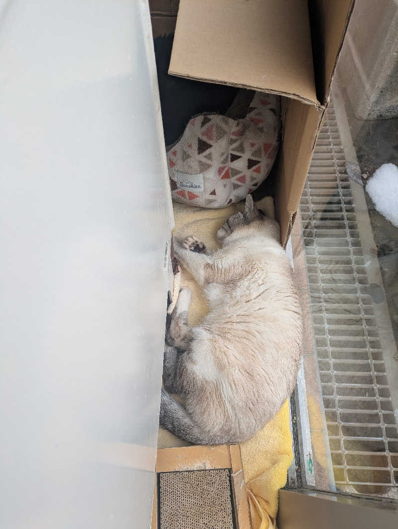 未希（デート師匠）さんの花園温泉のサ活写真