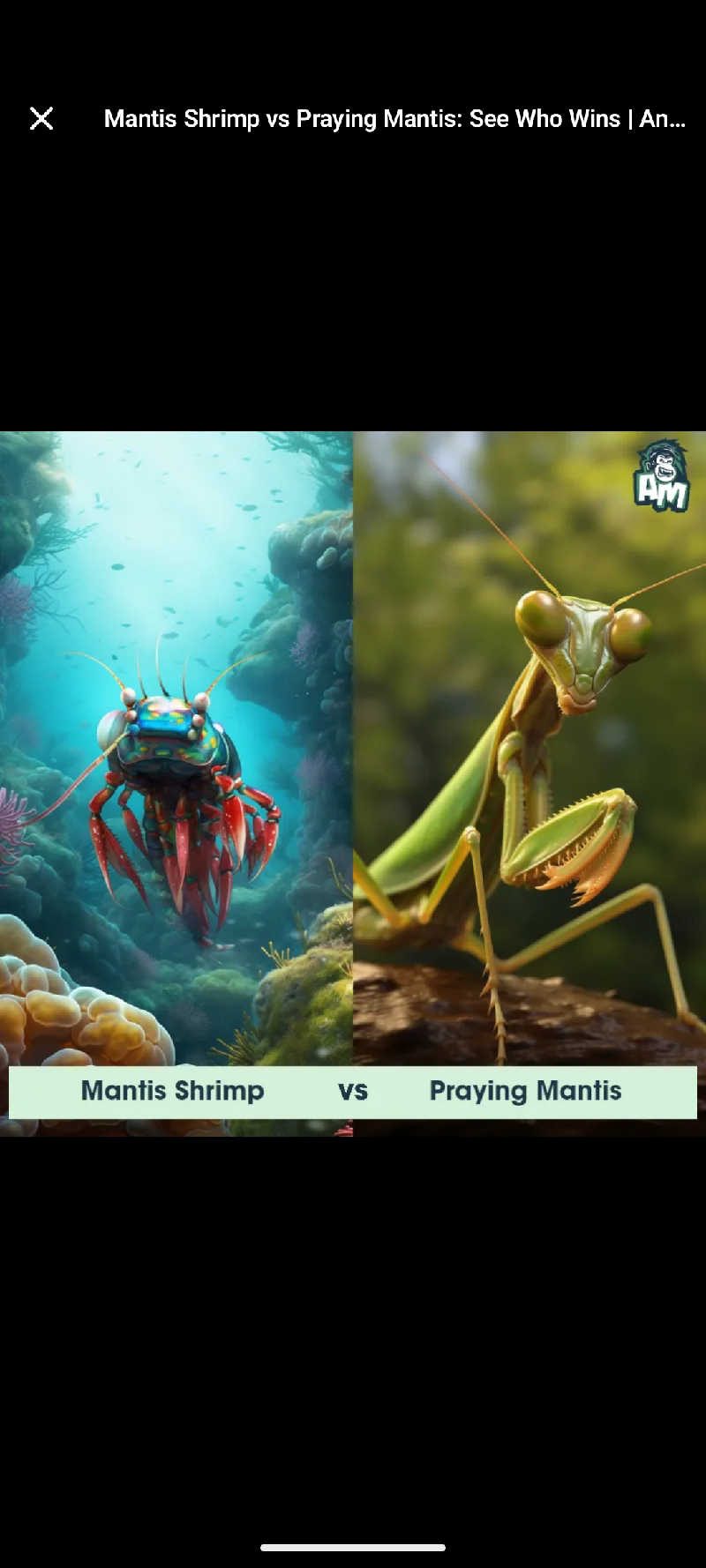 未希（デート師匠）さんのLC五稜郭ホテルのサ活写真