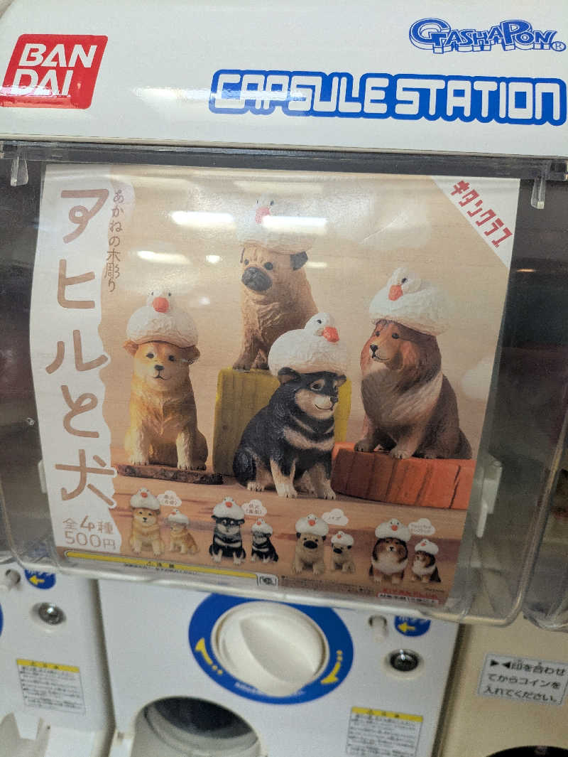 未希（デート師匠）さんの北のたまゆら 桑園のサ活写真