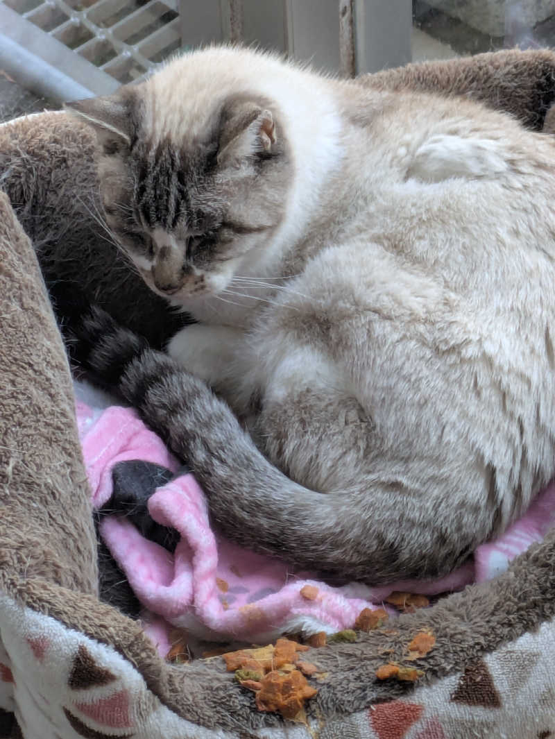 未希（デート師匠）さんの花園温泉のサ活写真