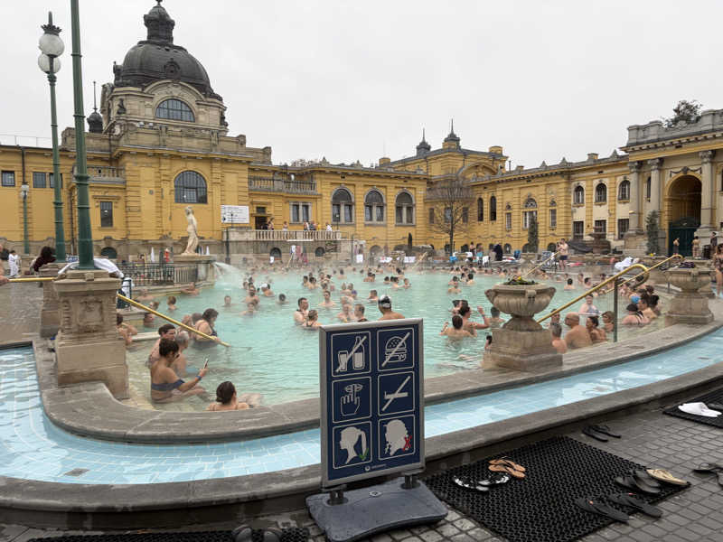 風呂場放浪記さんのセーチェーニ温泉のサ活写真