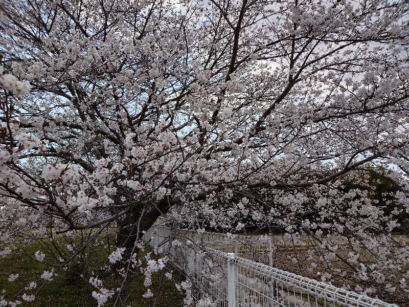 りきあさんの姫路市はやしだ交流センター ゆたりんのサ活写真