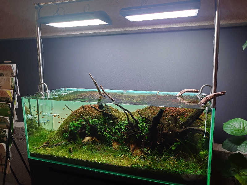 りきあさんのSAUNA煌ｰKOUｰのサ活写真