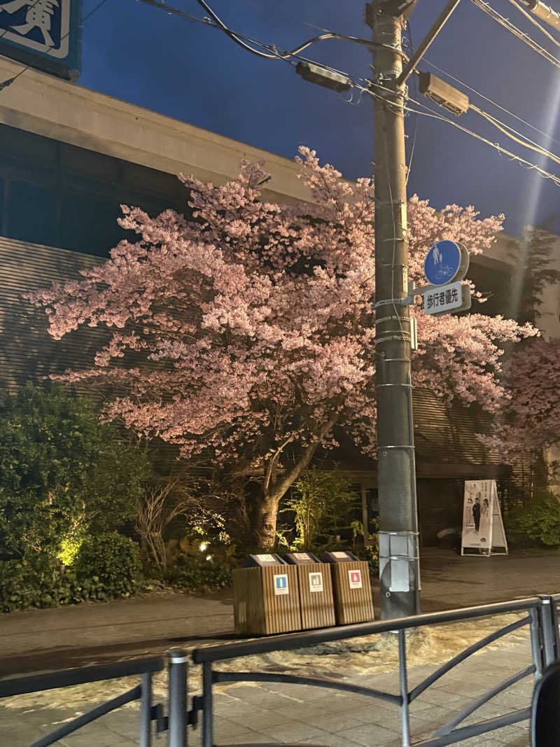 まいやんさんの山賊サウナのサ活写真