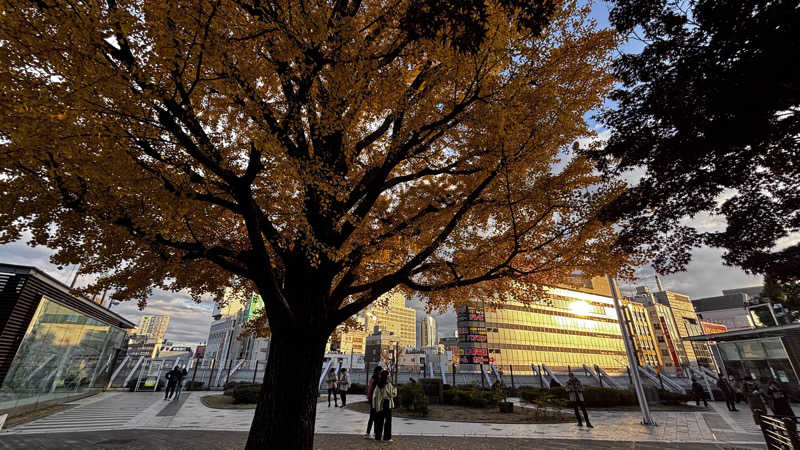 うちなーびぎなーさうなーさんのサウナ&カプセルホテル 北欧のサ活写真