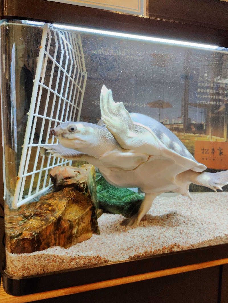 よっちんさんの松本湯のサ活写真