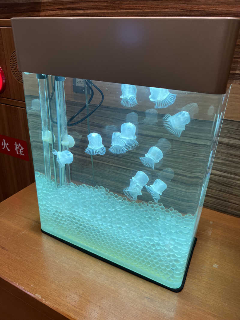 yastarさんの石狩の湯 ドーミーインPREMIUM札幌のサ活写真