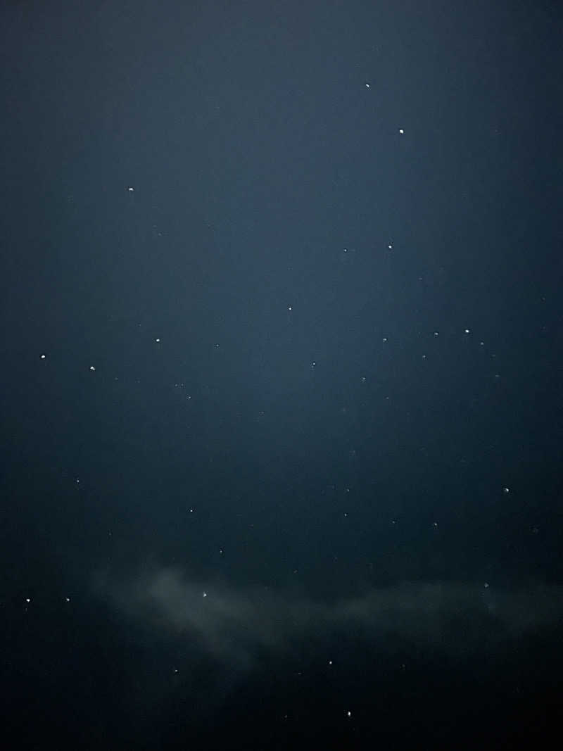 くまさんの星空の湯のサ活写真
