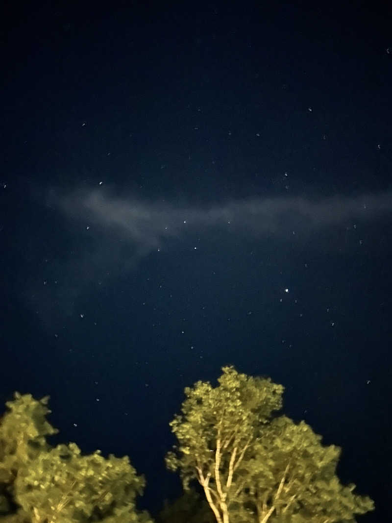 くまさんの星空の湯のサ活写真