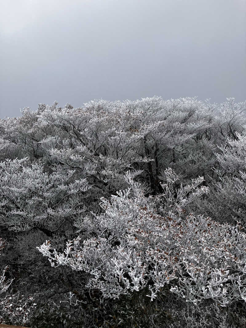 シングルほし男さんのオテル・ド・マロニエ湯の山温泉のサ活写真