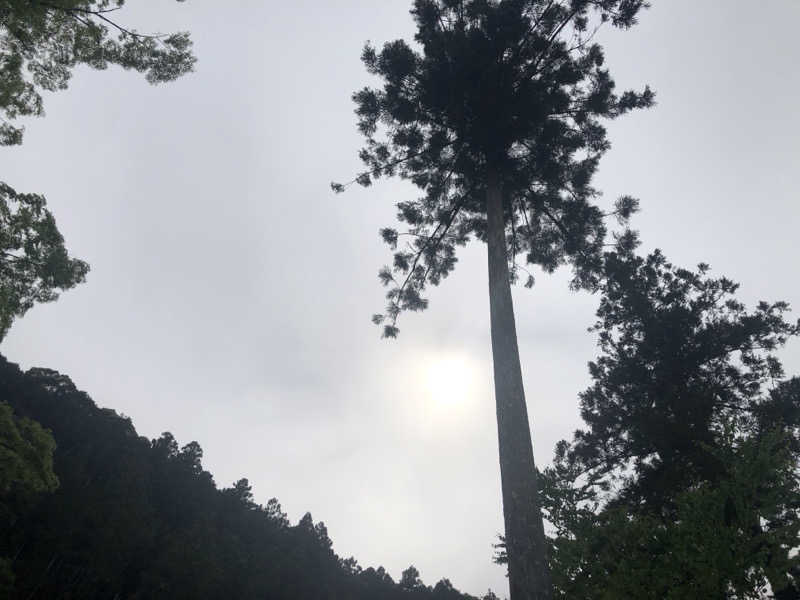 Iron Manさんのサウナ天竜のサ活写真