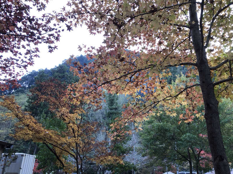 Iron Manさんのサウナ天竜のサ活写真