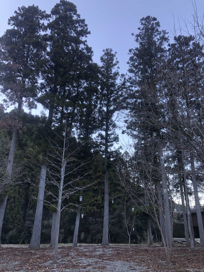 Iron Manさんのサウナ天竜のサ活写真