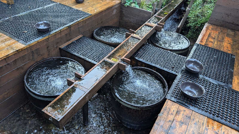 とさんのThe Saunaのサ活写真