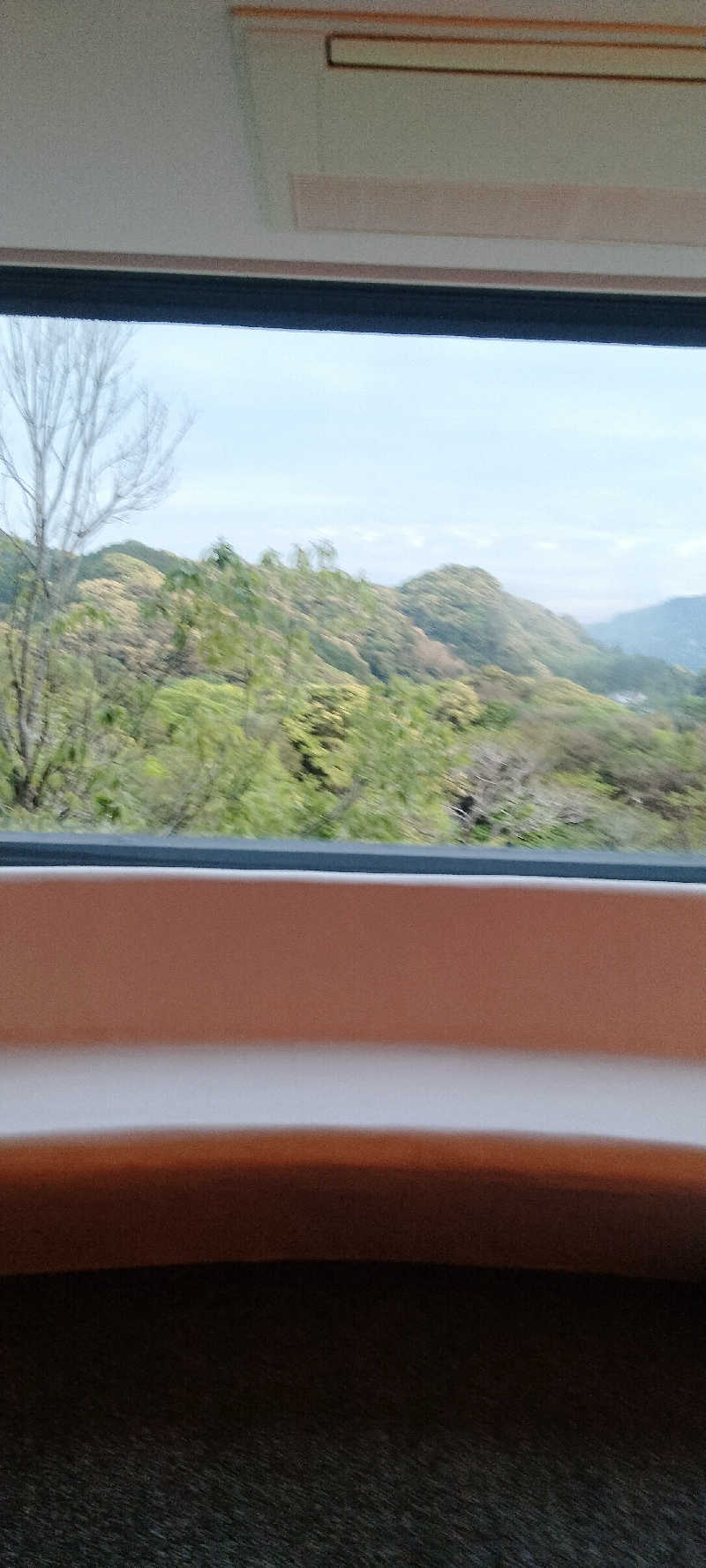Ｉ.Tadashiさんの御船山楽園ホテル  らかんの湯のサ活写真
