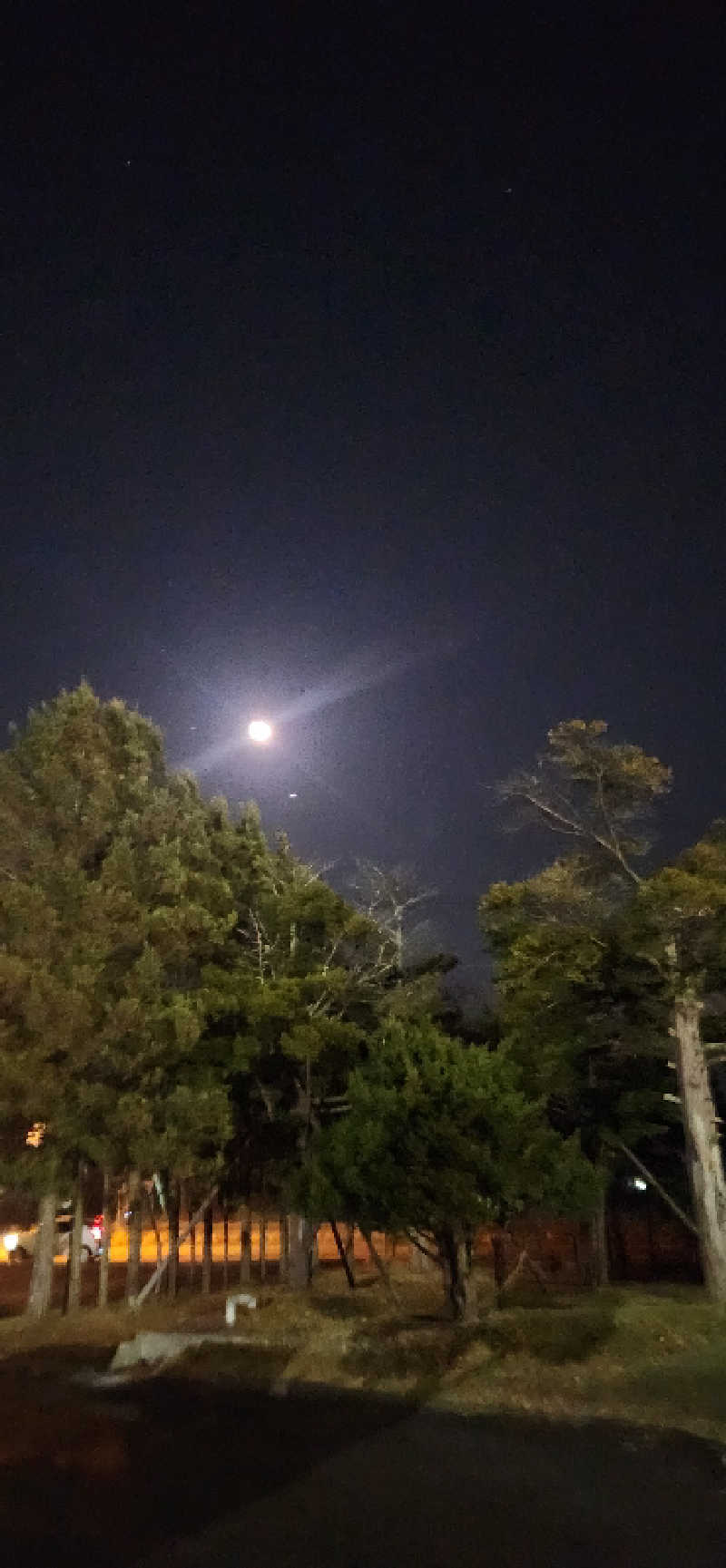 まえのめりさんのえにわ温泉ほのかのサ活写真
