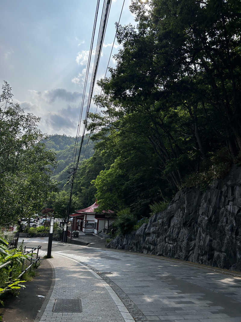 sauna( ´∀｀)♡さんの定山渓 鹿の湯のサ活写真