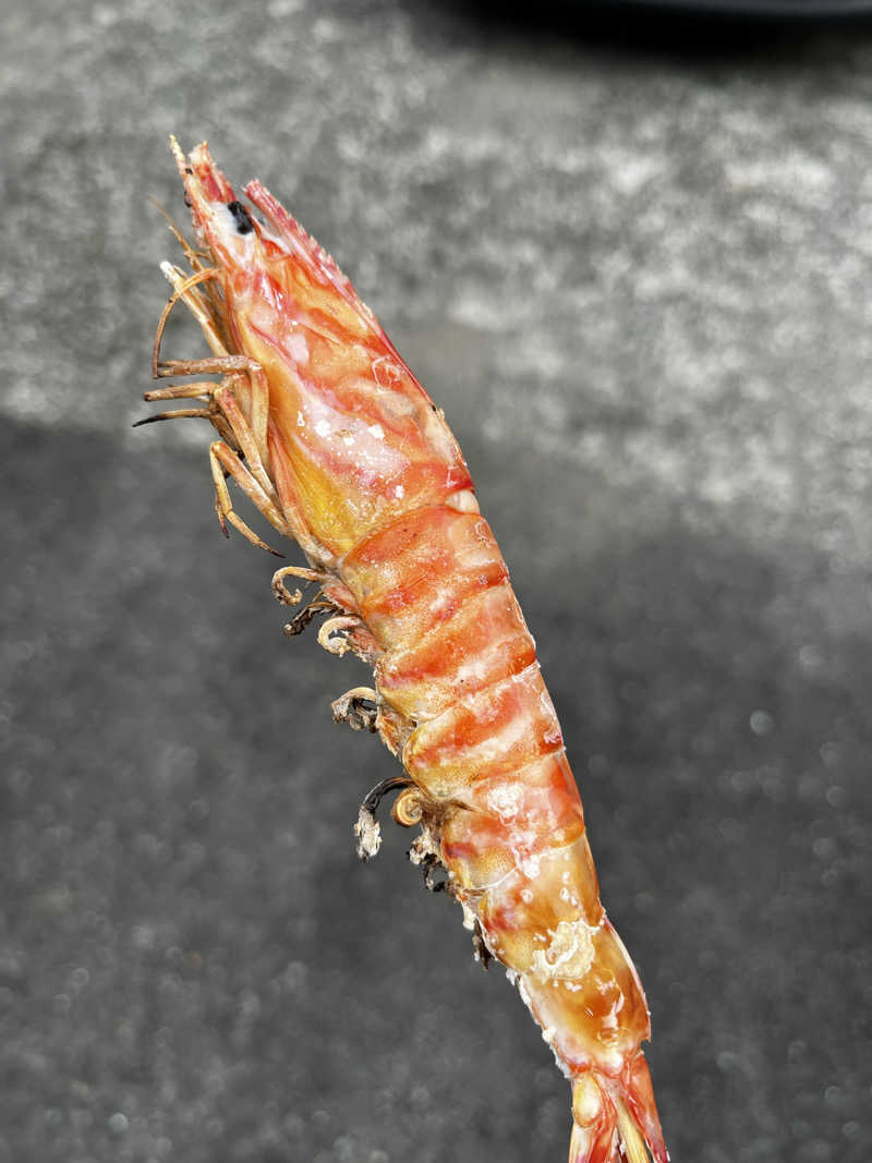 en💫⭕️さんのきゅうらぎ温泉 佐用姫の湯のサ活写真